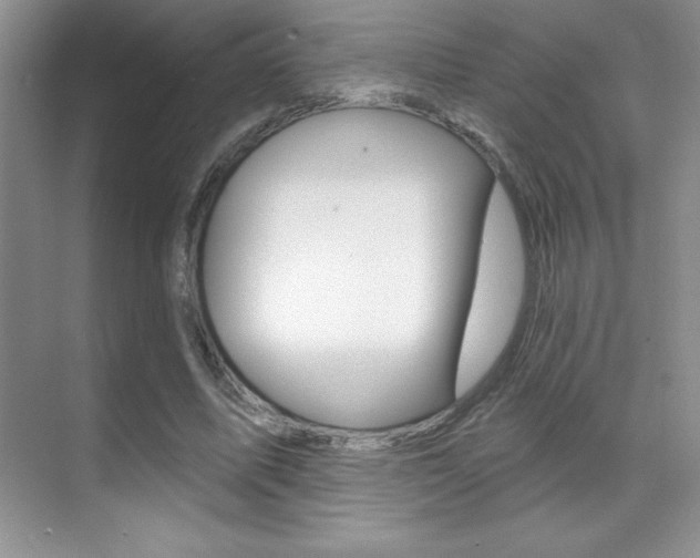 X0000071940587200607071015