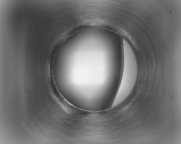 X0000071940589200607071015