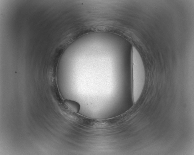 X0000071940599200607071015