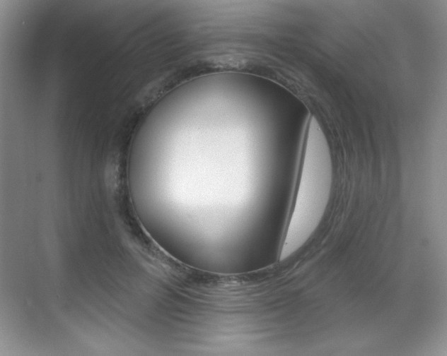 X0000071940600200607071015