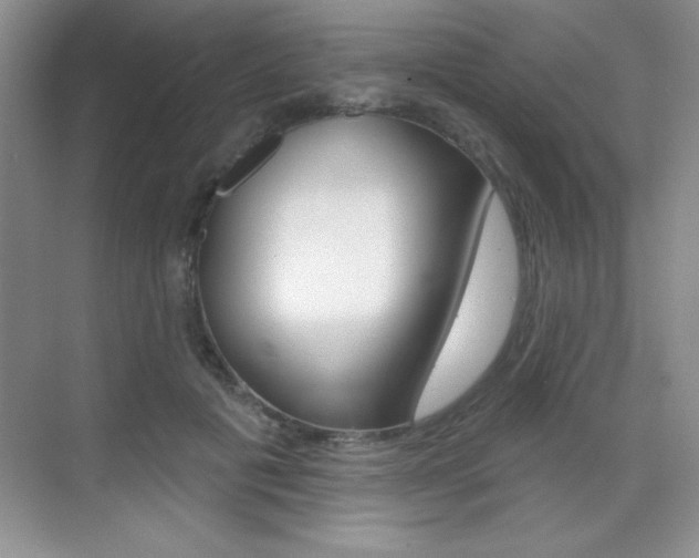 X0000071940601200607071015