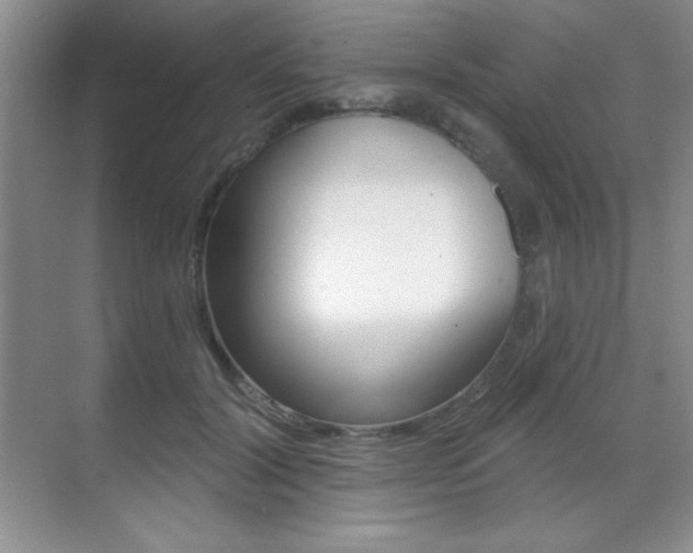 X0000071940604200607071015