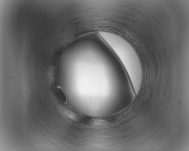 X0000071940605200607071015