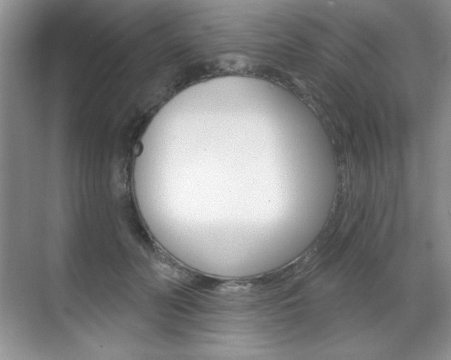 X0000071940606200607071015