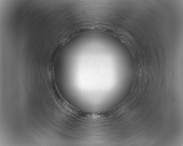 X0000071940607200607071015