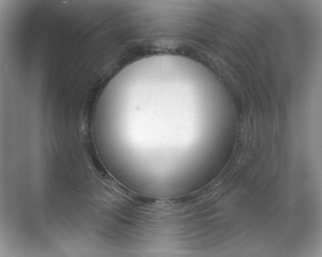 X0000071940608200607071015