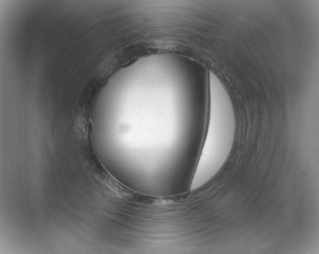 X0000071940609200607071015