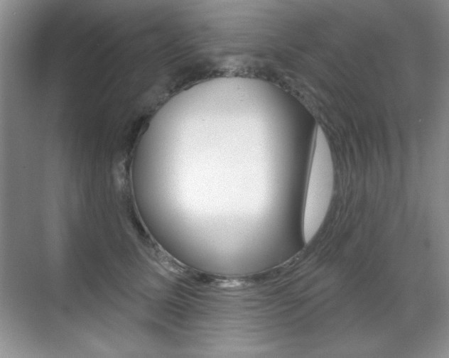 X0000071940611200607071015