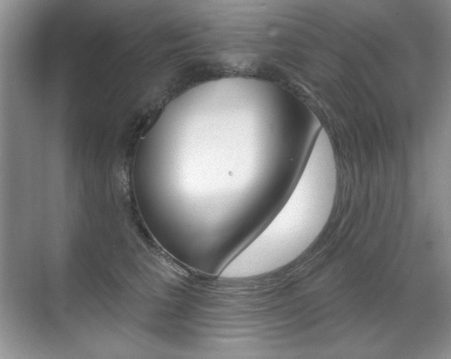 X0000071940613200607071015