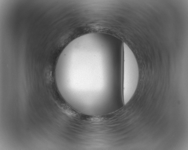 X0000071940615200607071015