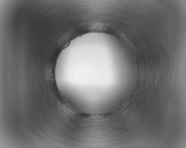 X0000071940619200607071015