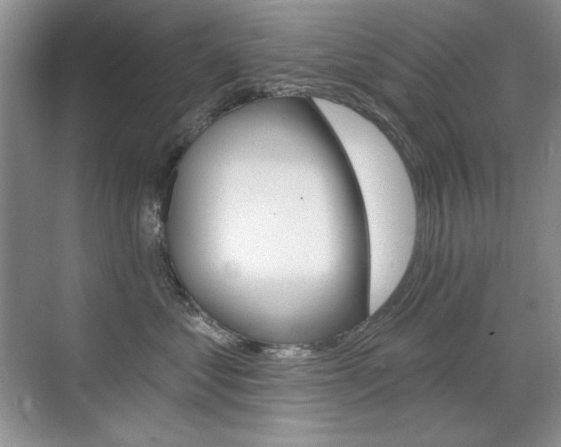X0000071940621200607071015