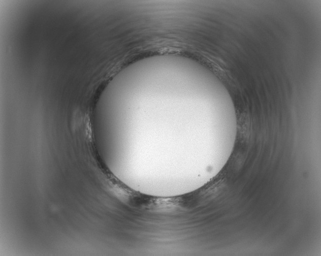 X0000071940622200607071015