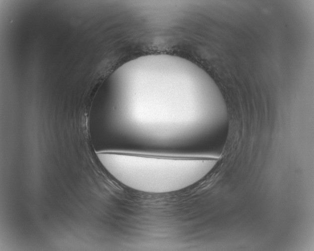 X0000071940624200607071015