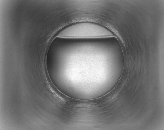 X0000071940625200607071014