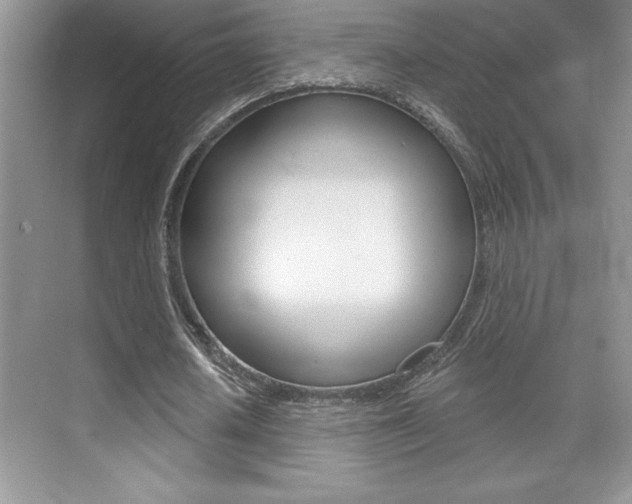 X0000071940626200607071014