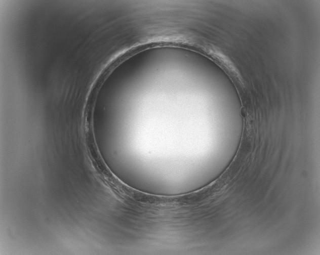 X0000071940628200607071014