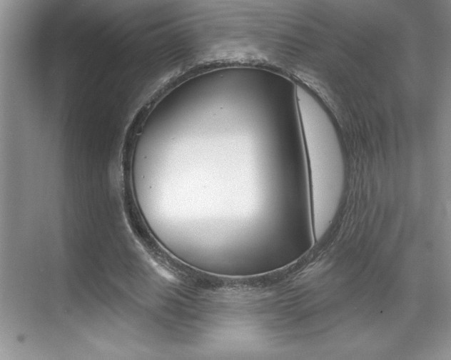 X0000071940630200607071014