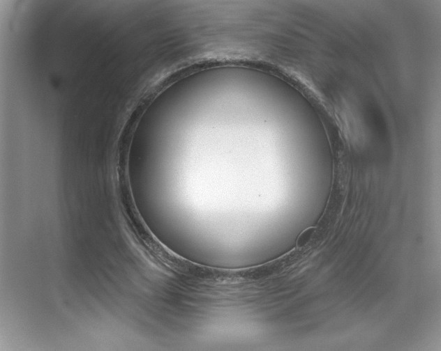 X0000071940631200607071014