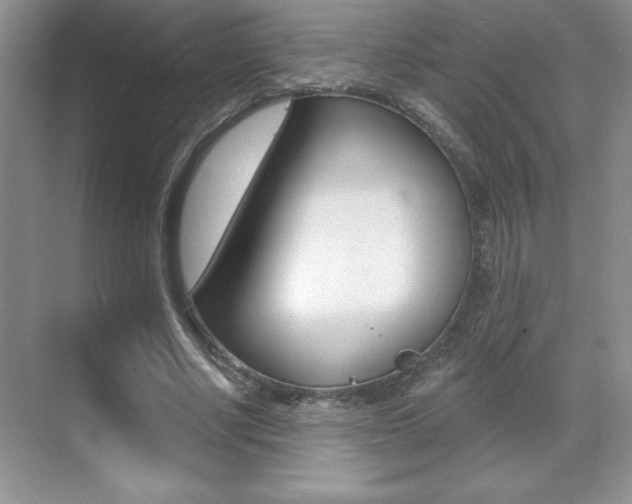 X0000071940634200607071014
