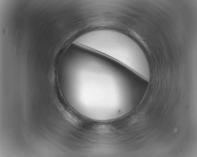 X0000071940637200607071014