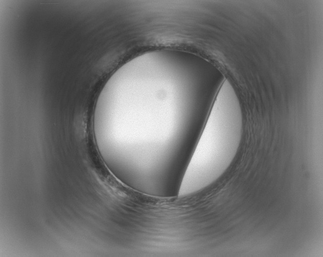 X0000071940640200607071014