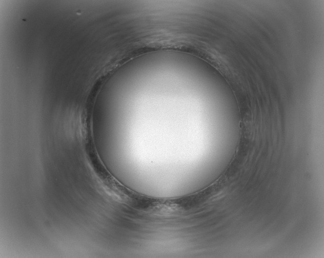 X0000071940642200607071014