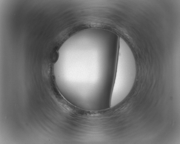 X0000071940645200607071014