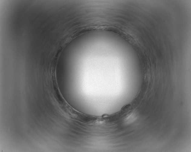 X0000071940647200607071014