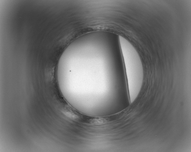 X0000071940652200607071014