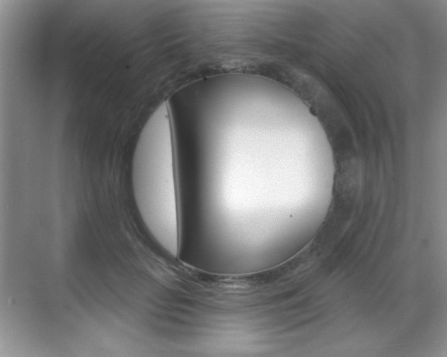 X0000071940653200607071014
