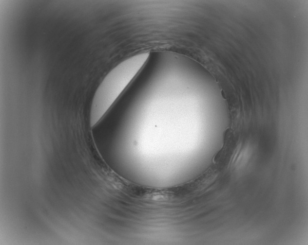 X0000071940655200607071014