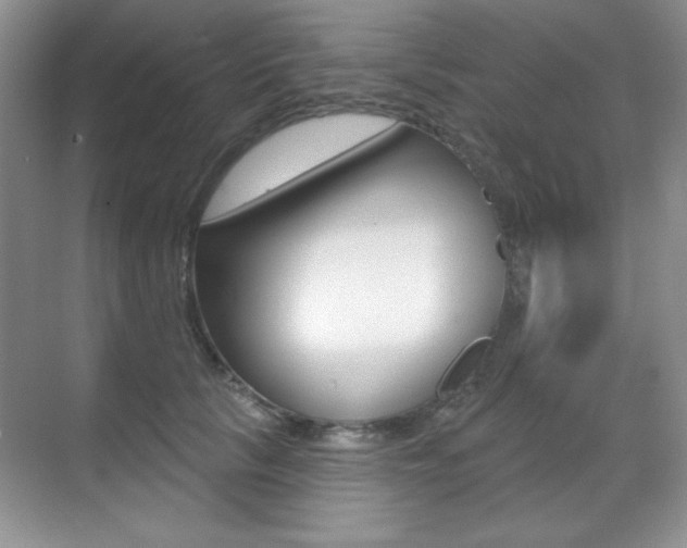 X0000071940657200607071014