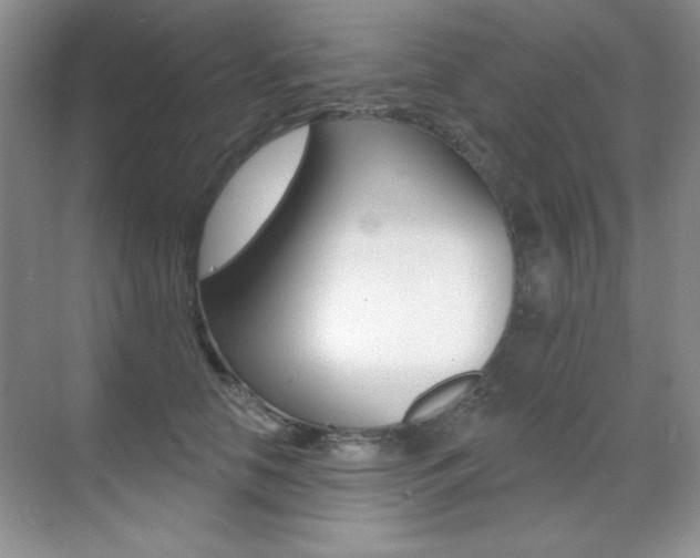 X0000071940658200607071014