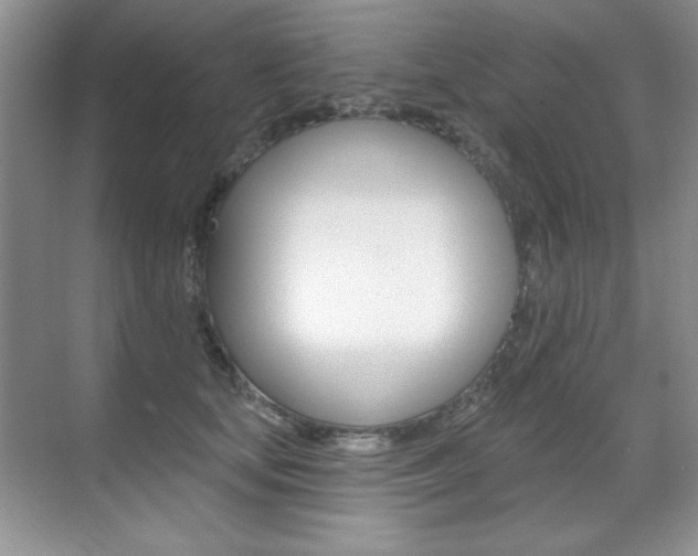 X0000071940659200607071014