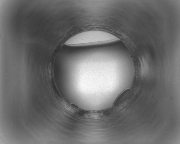 X0000071940661200607071015