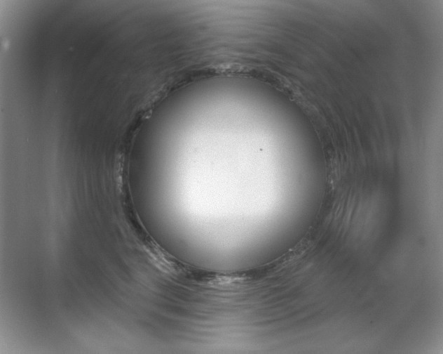 X0000071940664200607071015