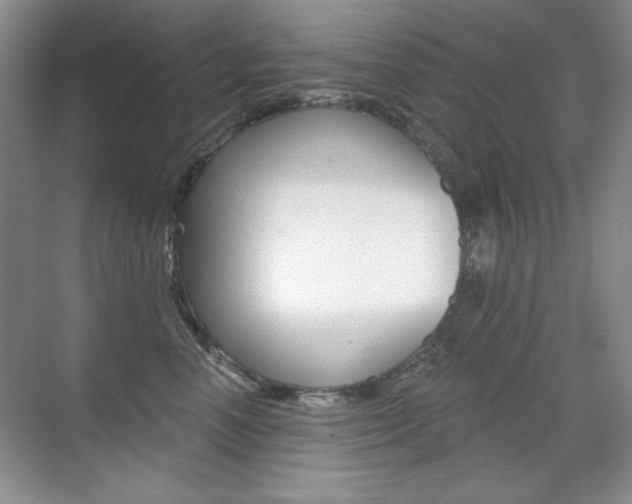 X0000071940666200607071015