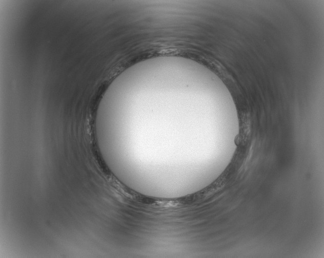 X0000071940667200607071015