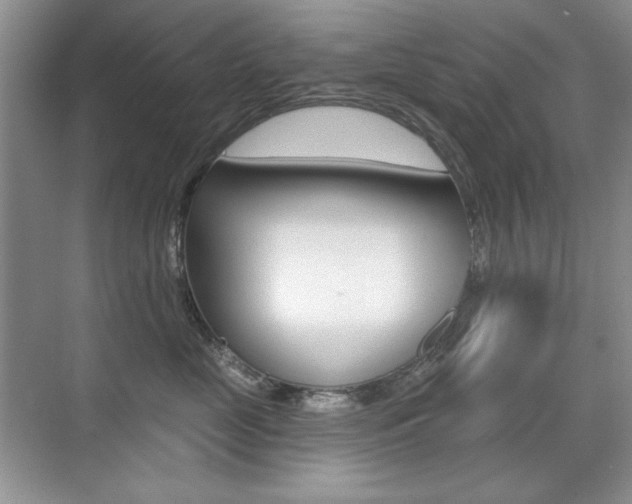 X0000071940669200607071015
