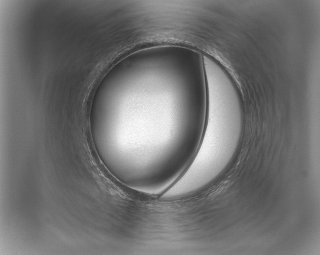 X0000071940673200607071014