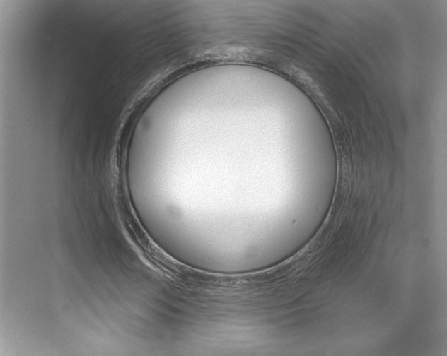 X0000071940674200607071014
