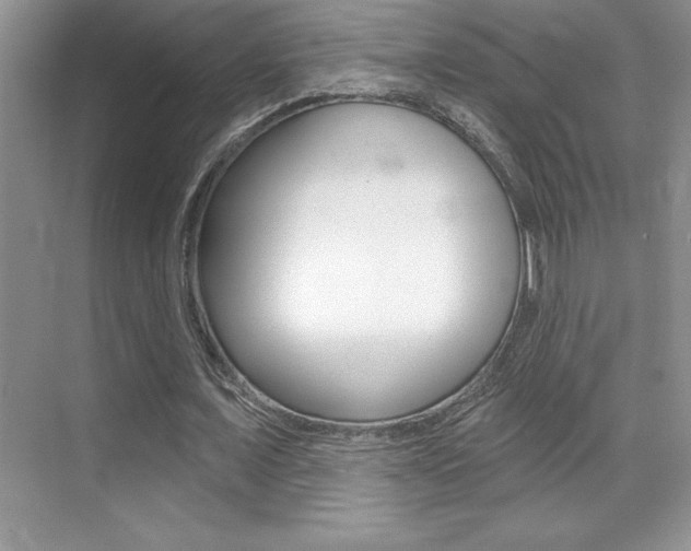 X0000071940675200607071014