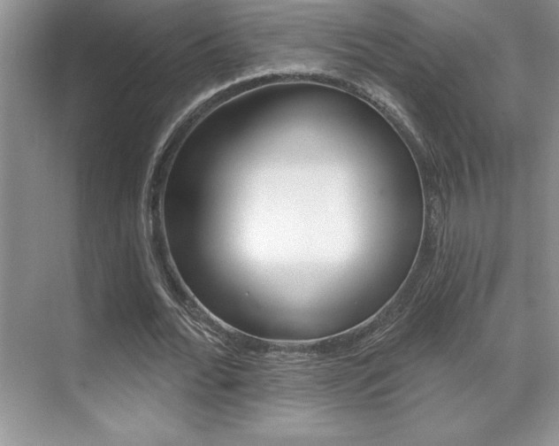 X0000071940676200607071014