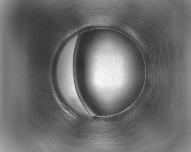X0000071940677200607071014