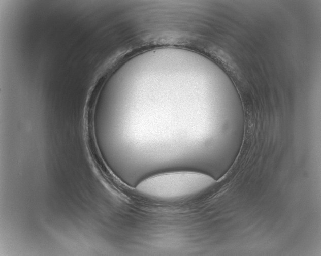 X0000071940678200607071014