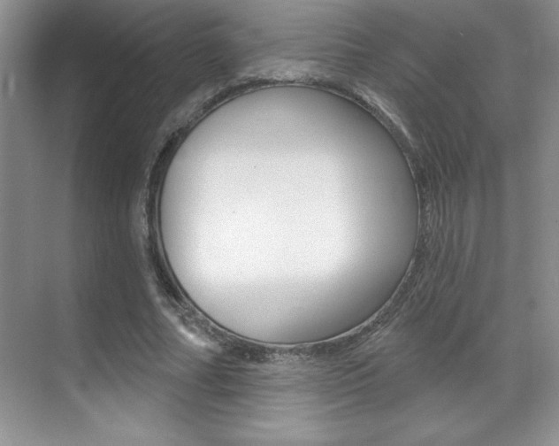 X0000071940682200607071014
