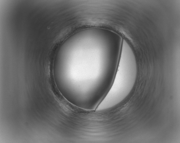 X0000071940685200607071014