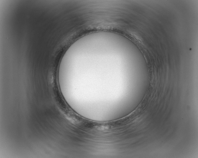 X0000071940687200607071014