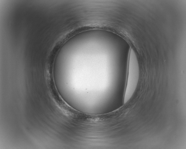 X0000071940688200607071014